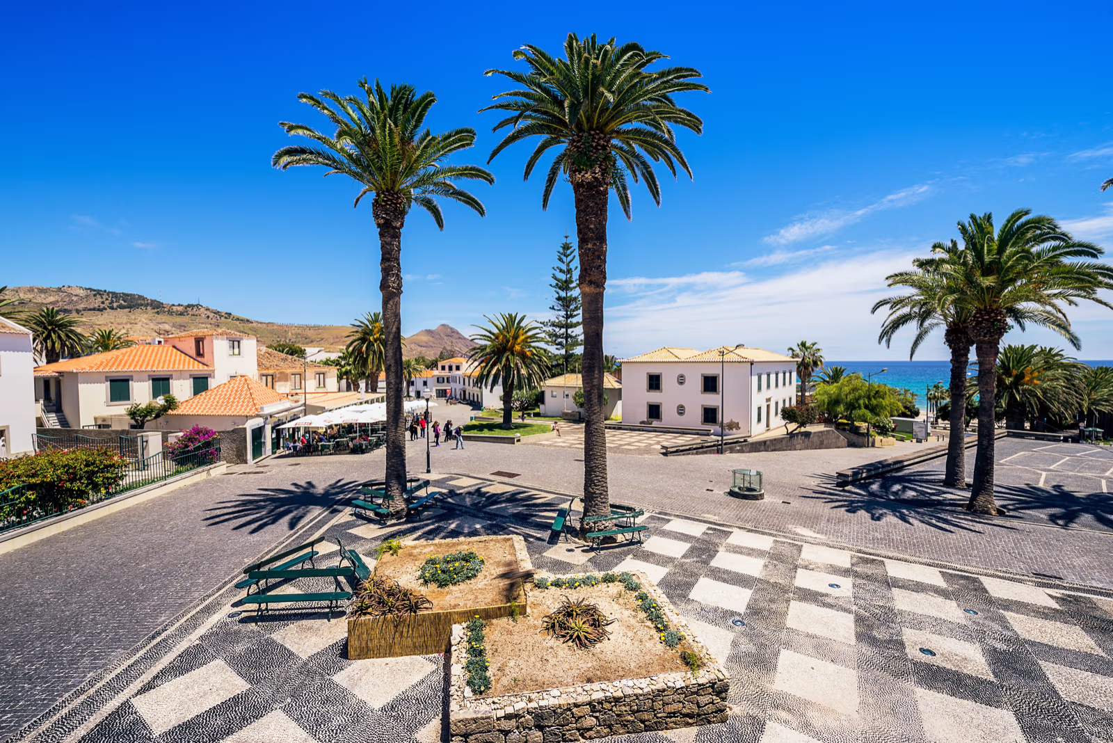 Torv med palmer og havet i baggrunden på Porto Santo