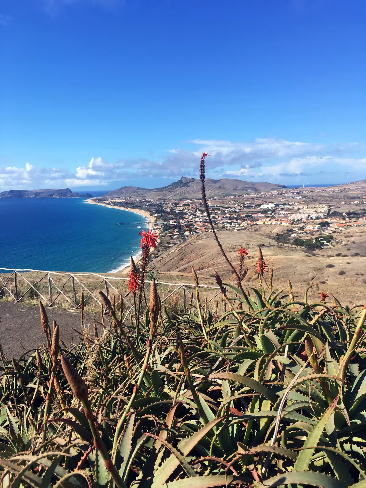 Udsigt over Porto Santos bugt med aloe-blomster